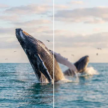 AI Image Unblur